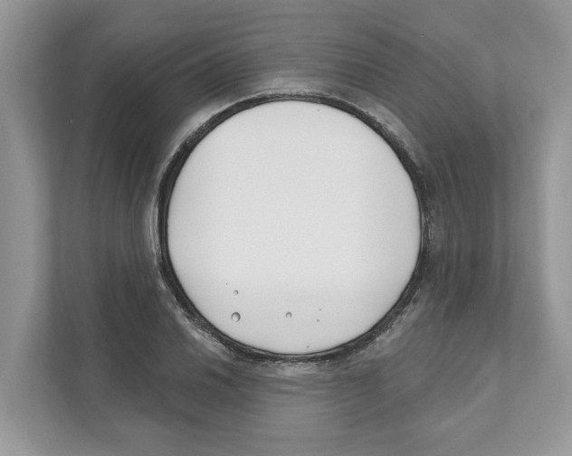 X0000110921030200907161515