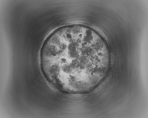 X0000110921031200907161515