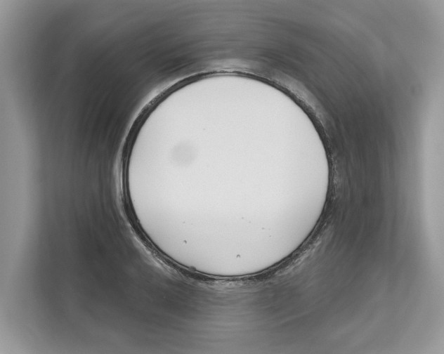 X0000110921032200907161515