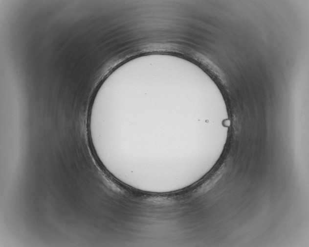 X0000110921033200907161515
