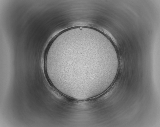 X0000110921035200907161515