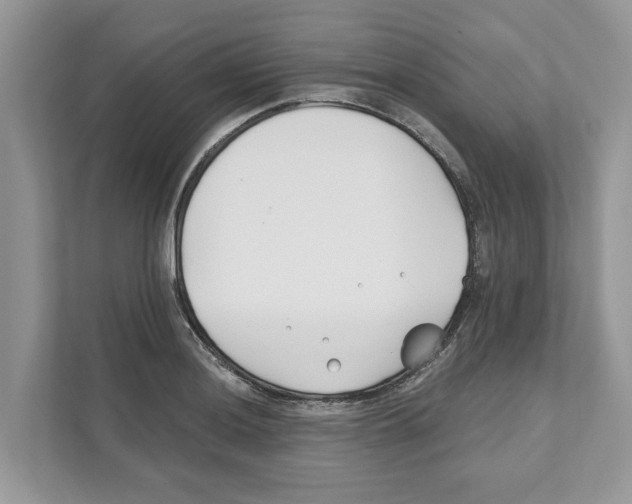 X0000110921036200907161515