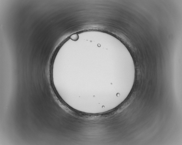 X0000110921038200907161515