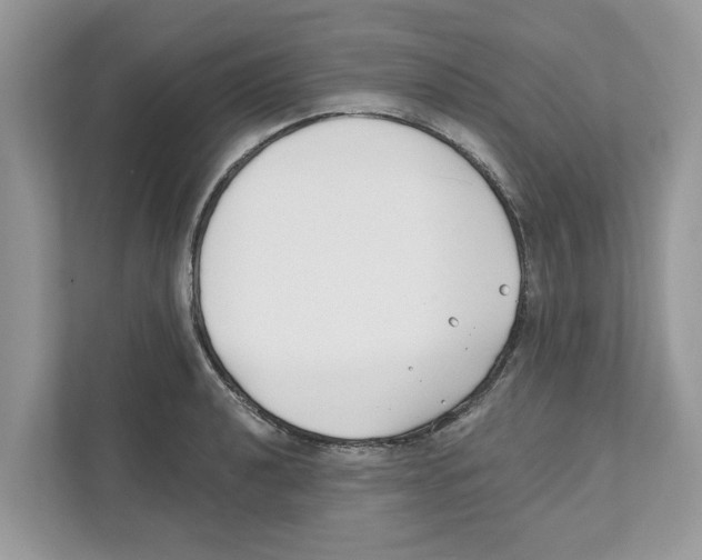 X0000110921040200907161515