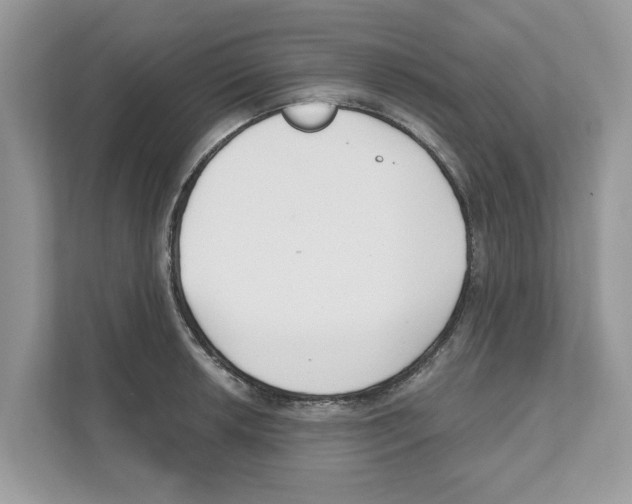 X0000110921042200907161515