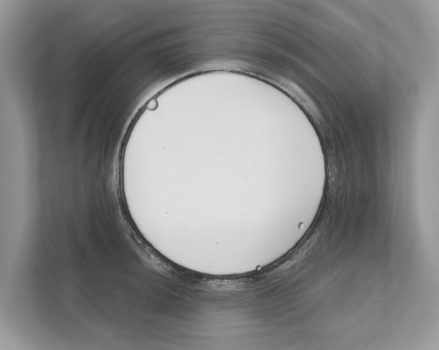 X0000110921044200907161515