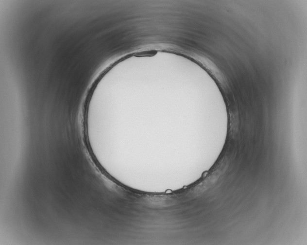 X0000110921046200907161515