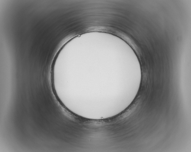 X0000110921050200907161515