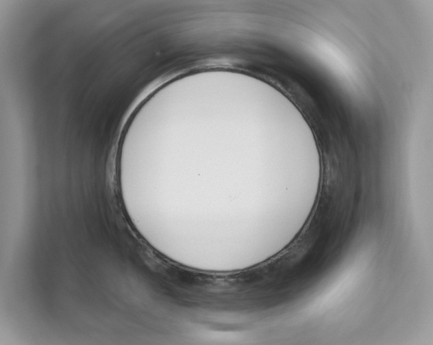 X0000110921052200907161515