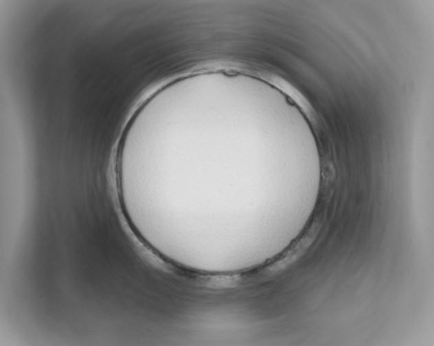 X0000110921055200907161515