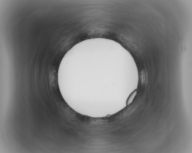 X0000110921059200907161514
