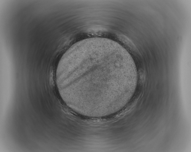 X0000110921060200907161514