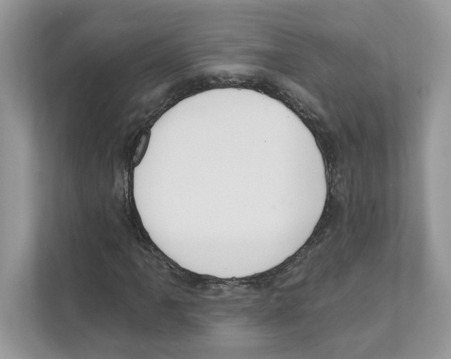 X0000110921061200907161514