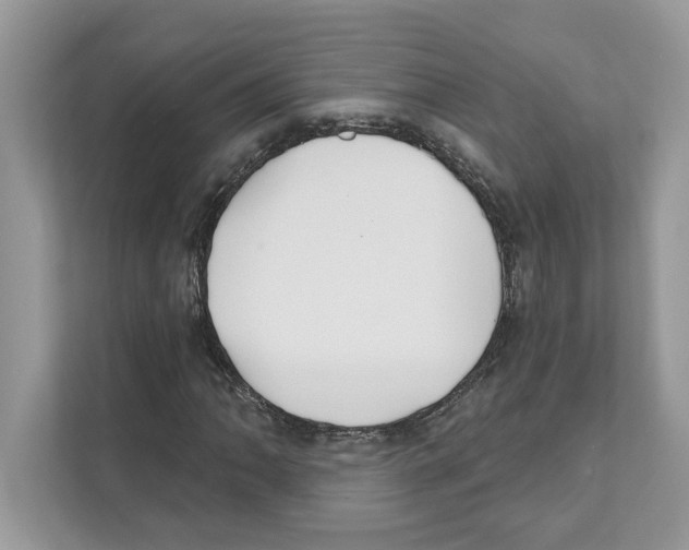 X0000110921062200907161514