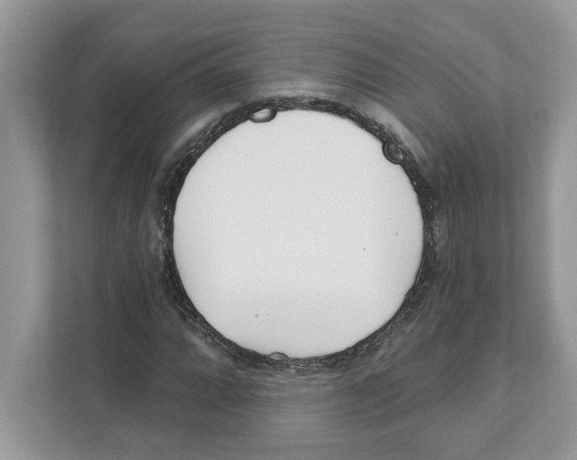 X0000110921064200907161514