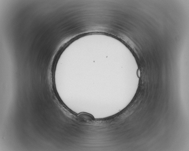 X0000110921072200907161514