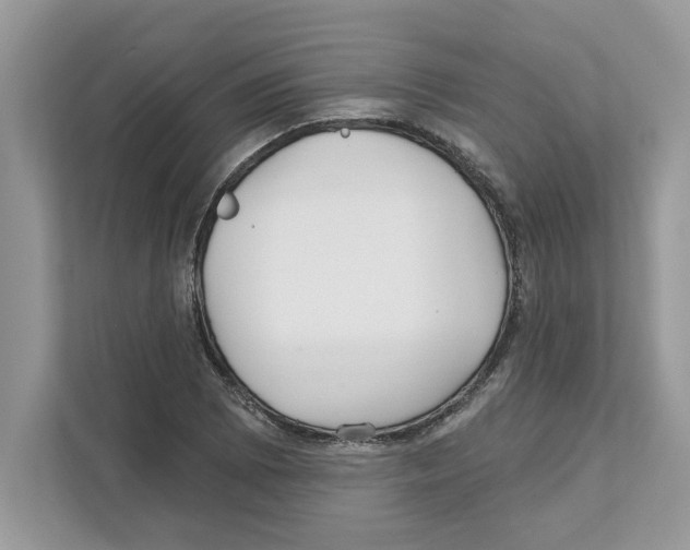 X0000110921073200907161514