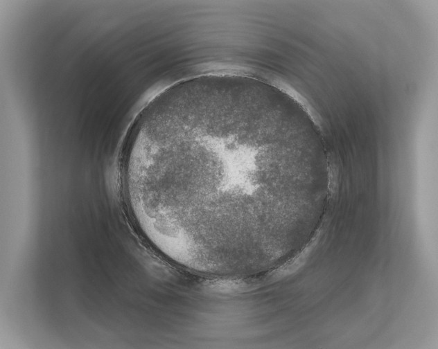 X0000110921074200907161514