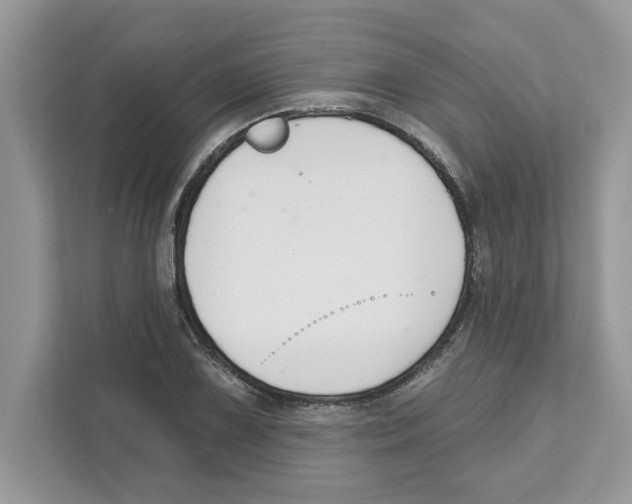 X0000110921075200907161514