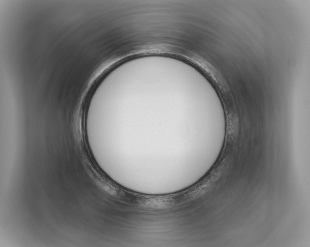 X0000110921078200907161514