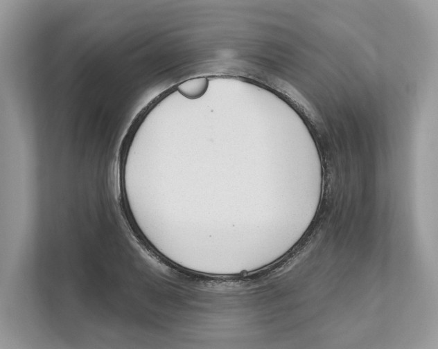 X0000110921079200907161514