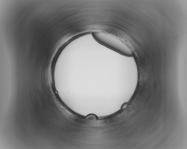 X0000110921080200907161514