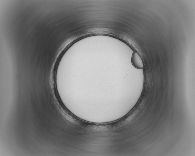 X0000110921082200907161514
