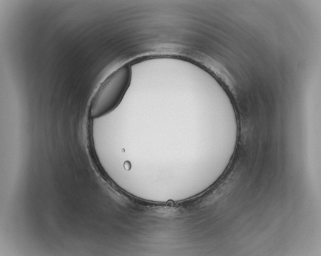 X0000110921085200907161514