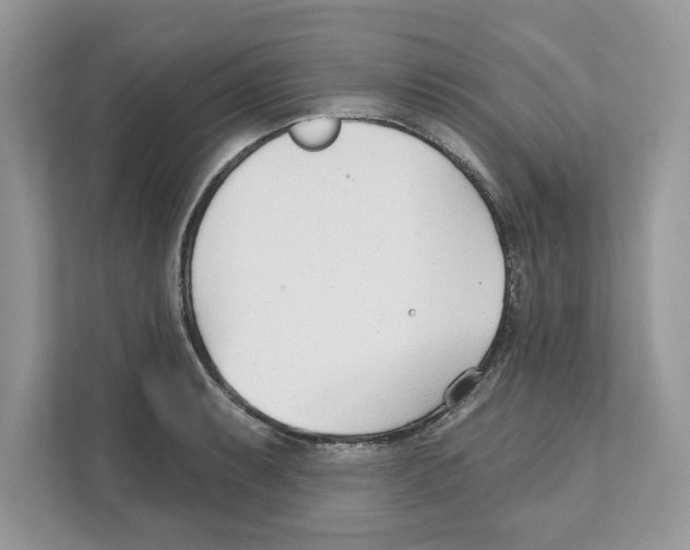 X0000110921087200907161514