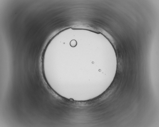 X0000110921096200907161514