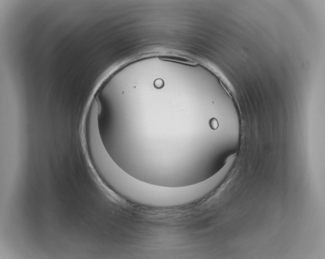 X0000110921098200907161514