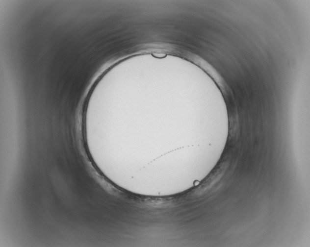 X0000110921099200907161514