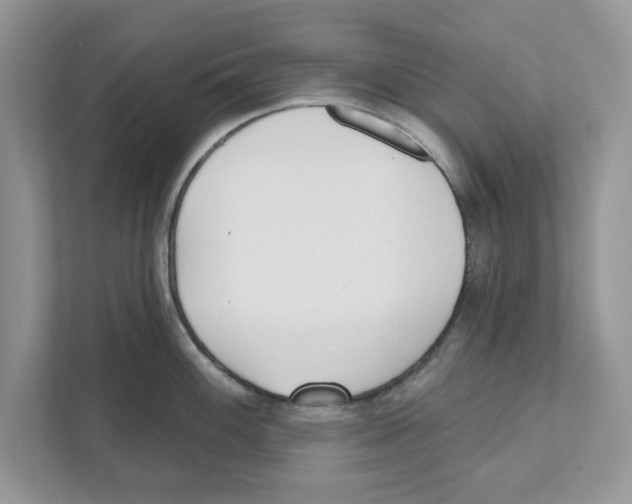 X0000110921100200907161514