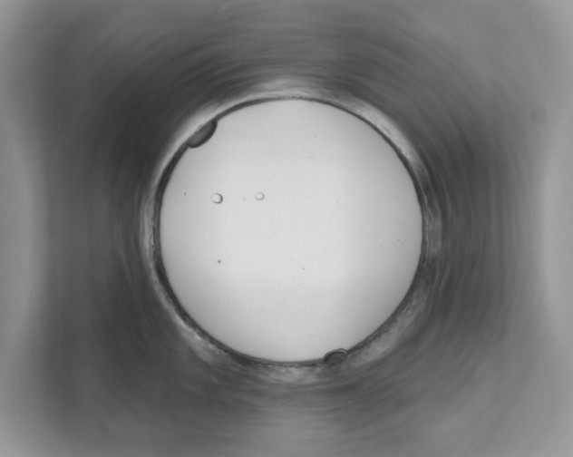 X0000110921101200907161514