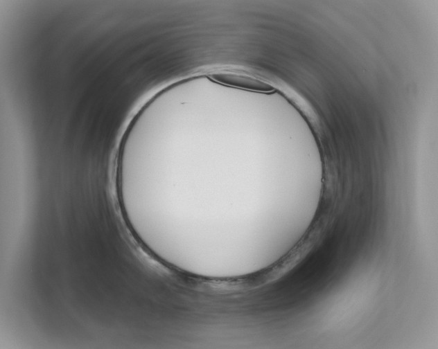 X0000110921102200907161514