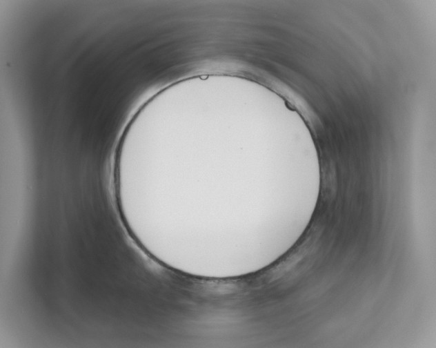 X0000110921103200907161514