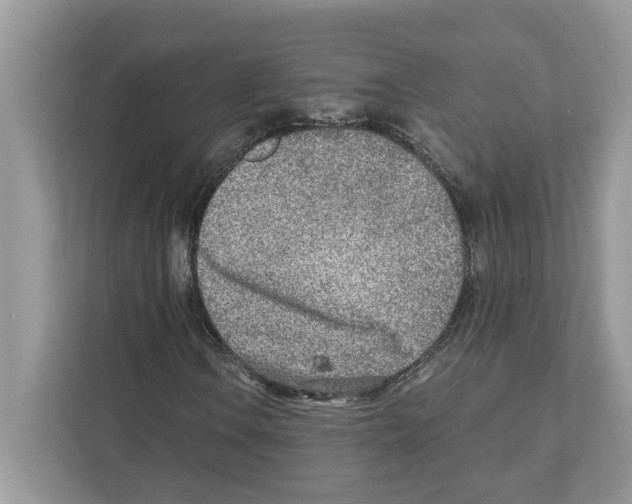 X0000110921106200907161513