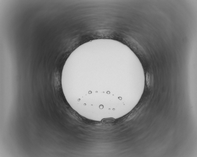 X0000110921107200907161513