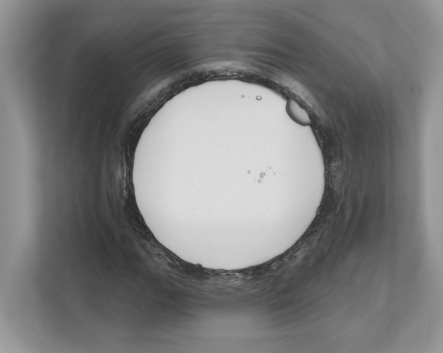 X0000110921111200907161513