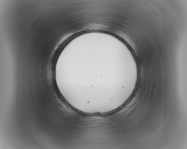 X0000110921115200907161513