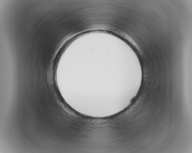 X0000110921116200907161513