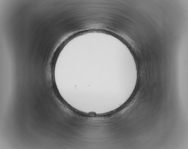 X0000110921118200907161513