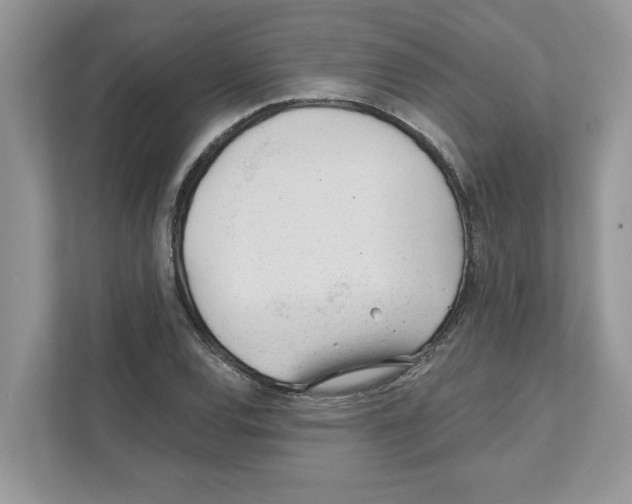 X0000110921120200907161513