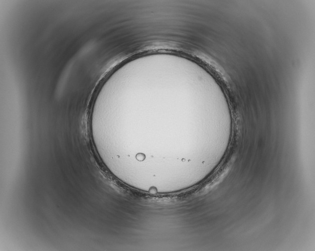 X0000110921121200907161513