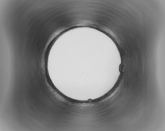 X0000110921122200907161513