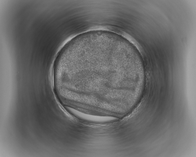 X0000110921127200907161513