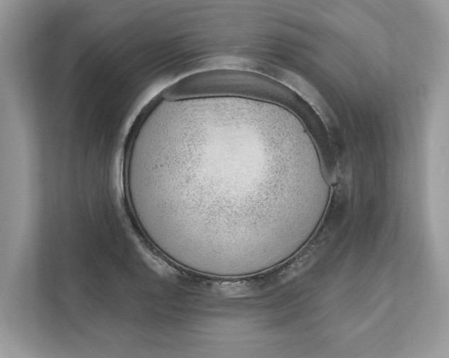 X0000110921128200907161513