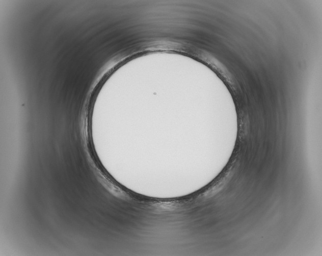 X0000110921130200907161514
