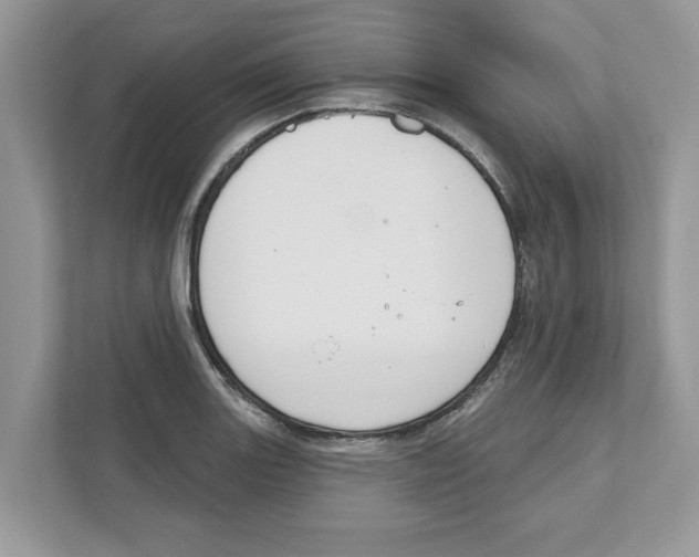 X0000110921131200907161514
