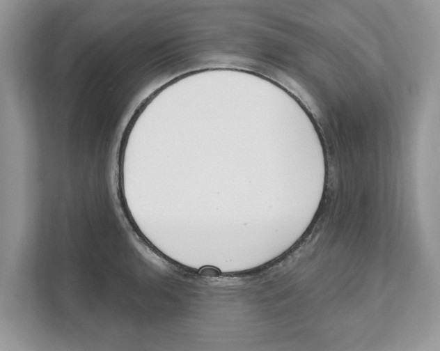 X0000110921136200907161514